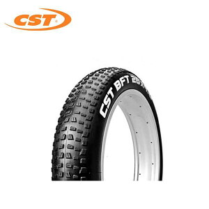 CST t@bgoCN ^C 26x4.0