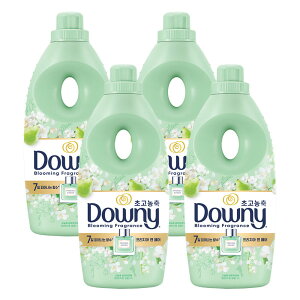 _Ej[Ԃ̍ RNV t[WA Ah yA 1L 4 + Ӊi