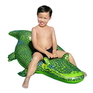 BW_41477 NR_C EH[^[}bg 