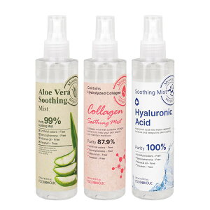 「観葉植物 アロエ 種」の人気商品一覧 | 安い商品を通販サイトから探す - 価格.com