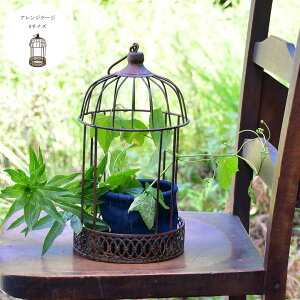 AWP[W S - Arrange cage S - AAK25-S15