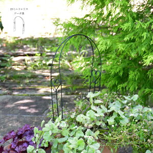 25~jgX A[` A  - 25Mini Trellis Arch A - AYMT25-AB