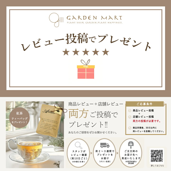 楽天市場】【プレゼント応募対象】 Whichford ウィッチフォード 植木鉢 