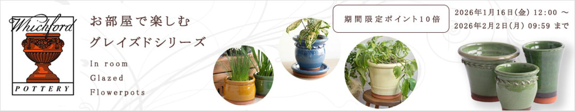 1/16-2/2 グレイズド10倍