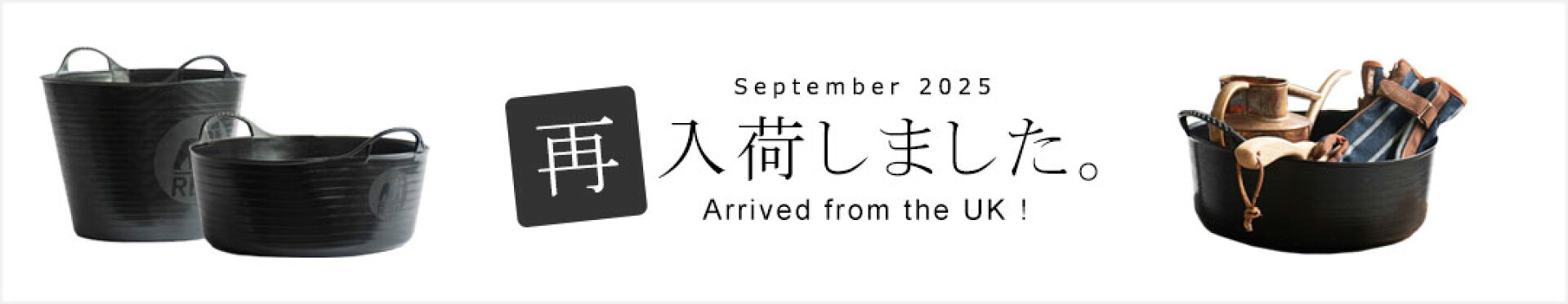 9月再入荷