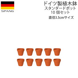 ドイツ製 テラコッタ 植木鉢 シンプル スタンダードポット 直径3.5cm(内径3.1cm)サイズ テラコッタ色 10個セットA03 SPANG スパング (メーカー在庫限り廃番)