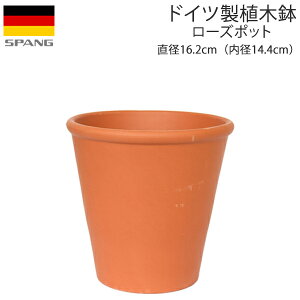 hCc eRb^ Aؔ Vv [Y|bg Oa16.2cmTCY eRb^FN14 SPANG XpO ݌Ɍ