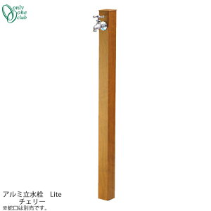 Vv  ^Cv A~ Lite `F[ GM3-ALJC Only One I[ GMiΏ