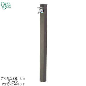 Vv  ^Cv A~ Lite OC ֌(F-204)Zbg GM3-ALHGF Only One I[ GMiΏ