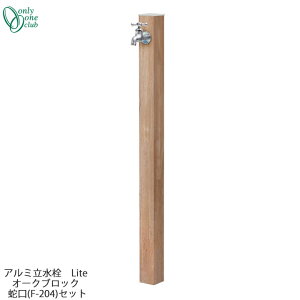 Vv  ^Cv A~ Lite I[NubN ֌(F-204)Zbg GM3-ALOBF Only One I[ GMiΏ