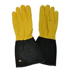 Gold Leaf OO[u ^t^b` - Y - TOUGH TOUCH GENTS -mJAYCO Gold Leaf/WFCR S[h[tn