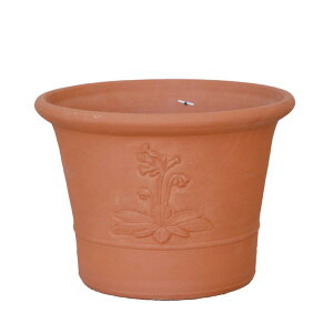 Whichford EBb`tH[h Aؔ ^ RHSJEXbvt[|bg a36cmTCY