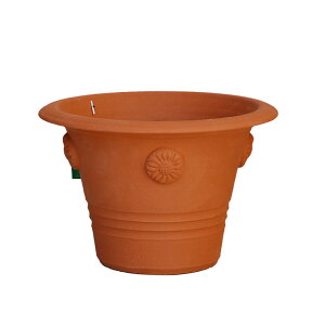 Whichford EBb`tH[h Aؔ `[_[[Y|bg a33cmTCY