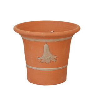 Whichford EBb`tH[h Aؔ [K [ |bg a33cmTCY