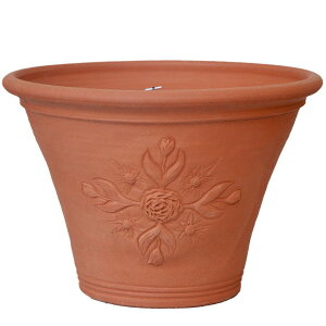 Whichford EBb`tH[h Aؔ ^ ^ RHS `FV[t[V[ Zei[t[|bg a43cmTCY (EBb`tH[h̏H)