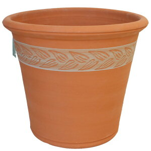 Whichford EBb`tH[h Aؔ ^ I[u [t |bg a48cmTCY