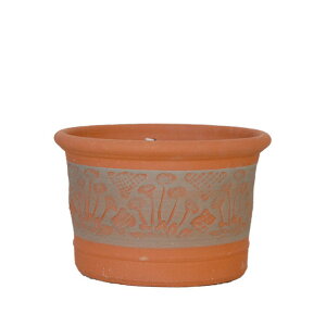 Whichford EBb`tH[h Aؔ [^ RHSfCW[v^[ a25cmTCY (2025N4ē)