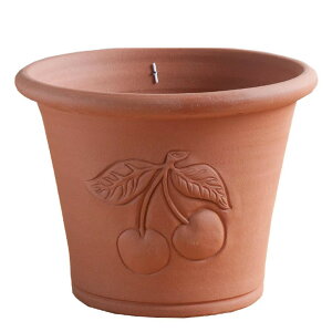 Whichford EBb`tH[h Aؔ `F[ v^[ a36cmTCY