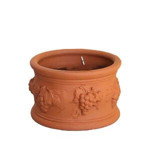 Whichford ウィッチフォード 植木鉢 浅型 カスティリアーノポット 直径25cmサイズ (ハロウィンタイムSALE対象)