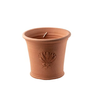 Whichford EBb`tH[h Aؔ qhR[gx_[|bg a22cmTCY ~XeBbh (2025N4ē)