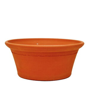 Whichford EBb`tH[h Aؔ ^ V[hp a37cmTCY