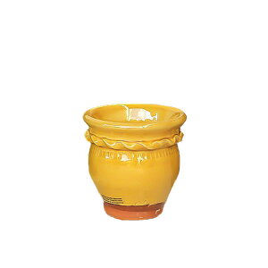 Whichford EBb`tH[h Aؔ h蔫 OCYh Eht[|bga12cmTCY nj[ (2025N4ē)