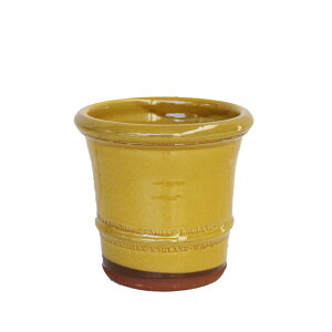 Whichford EBb`tH[h Aؔ h蔫 OCYhoNTX|bg a20cmTCY nj[ (2025N6ē) (ӍՊԒPTUP)