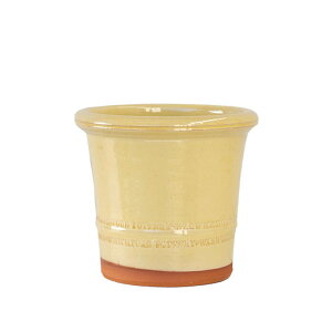 Whichford EBb`tH[h Aؔ h蔫 OCYhoNTX|bg a20cmTCY N[ (2025N6ē)