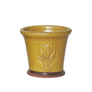 Whichford EBb`tH[h Aؔ h蔫 OCYhNbJX|bg a17cmTCY nj[