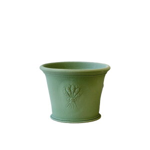 Whichford EBb`tH[h Aؔ qhR[gx_[|bg a16.5cmTCY ANA (2025N4ē)