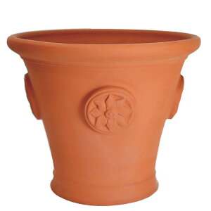 Whichford EBb`tH[h Aؔ N}`X|bg a34cmTCY (nEB^CSALEΏ)