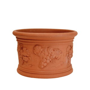 Whichford EBb`tH[h Aؔ ^ JXeBA[m|bg a28cm