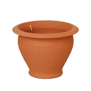 Whichford EBb`tH[h Aؔ Eh eX |bg a28cmTCY