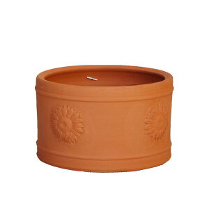 Whichford EBb`tH[h Aؔ ^ Tt[ t[|bg a29cmTCY (2025N6ē)