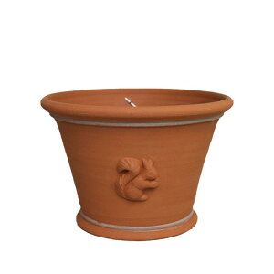 Whichford EBb`tH[h Aؔ tAXN[|bg Xf a27cmTCY STCY K[f}[gIWi (2025N6ē)