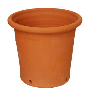 Whichford EBb`tH[h Aؔ Lb` K[f |bg a32cmTCY (2025N4ē)