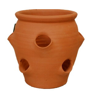 Whichford EBb`tH[h Aؔ pXgx[|bg Xgx[o a33cmTCY (2025N4ē)