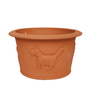 Whichford EBb`tH[h Aؔ ^ XRbeB Ah nEh v^[ a35cmTCY (2025N4ē)