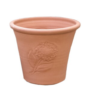 Whichford EBb`tH[h Aؔ nChWA|bg a34cm (2025N4ē) (IWi|{yv[gΏ)