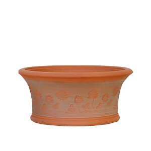 Whichford EBb`tH[h Aؔ ^ RHSzCgN[o[t[|bg a32cmTCY (2025N4ē)