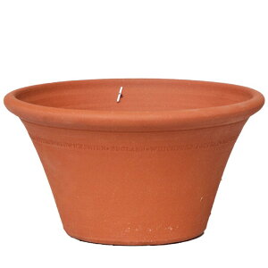 Whichford EBb`tH[h Aؔ ^ n[t|bg a43cmTCY (EBb`tH[h̏H)