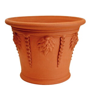 Whichford EBb`tH[h Aؔ ^ ACVN|bg a43cmTCY