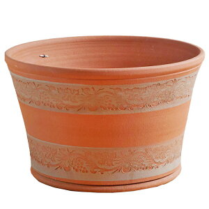 Whichford EBb`tH[h Aؔ ^ O[voC v^[ a44cmTCY (2025N6ē)