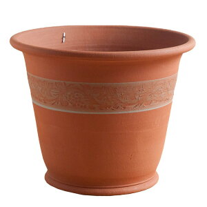 Whichford EBb`tH[h Aؔ ^ O[voC A[ a41cmTCY (2025N6ē)