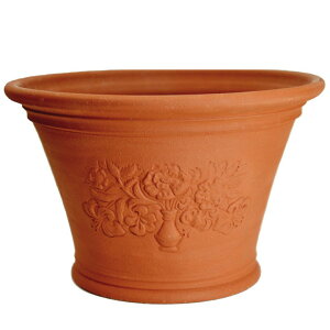 Whichford �E�B�b�`�t�H�[�h �A�ؔ� ��^ RHS���[�Y�������[ ���a43cm�T�C�Y (2026�N1���ē���)