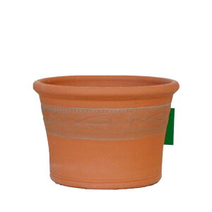 Whichford �E�B�b�`�t�H�[�h �A�ؔ� ��^ RHS���C���h�_�t�H�f�B���v�����^�[ ���a25cm (2026�N1���ē���)