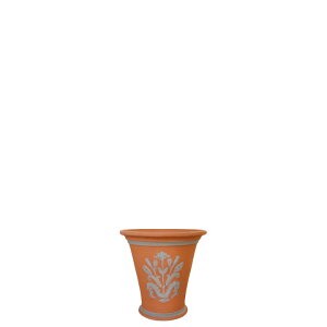 Whichford �E�B�b�`�t�H�[�h �A�ؔ� �[�^ RHS �W�L���E�t�����[�|�b�g ���a13cm�T�C�Y (2026�N1���ē���)