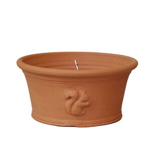 Whichford EBb`tH[h Aؔ ^ XN[ n[tp a29cmTCY K[f}[gIWi (2025N4ē)