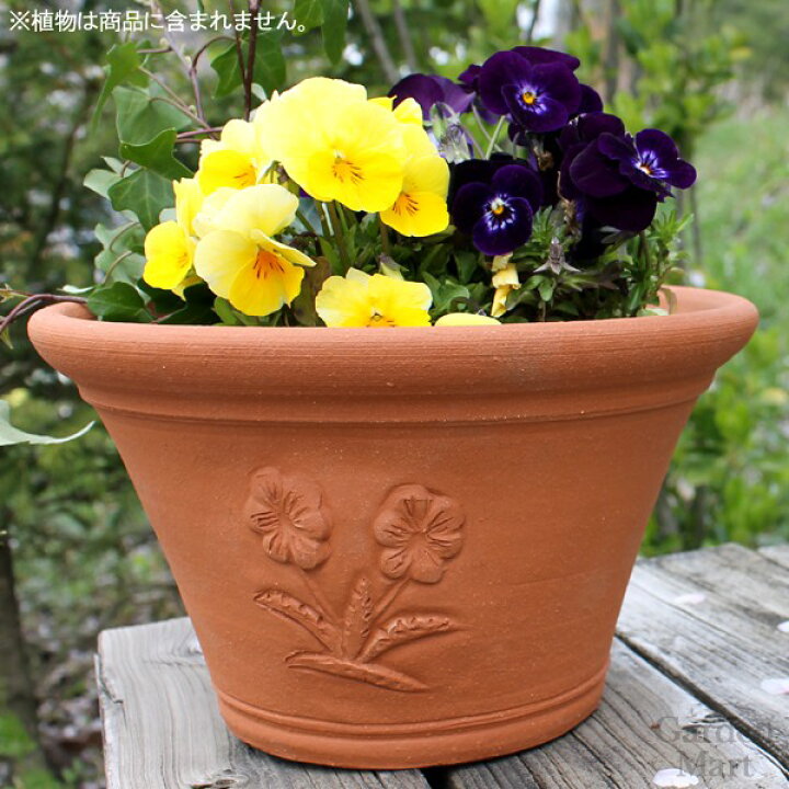 楽天市場】Whichford ウィッチフォード 植木鉢 浅型 ビオラポット 直径 