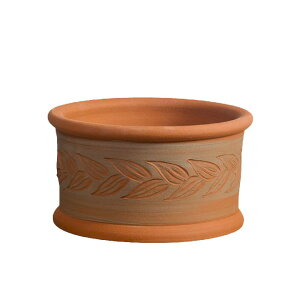 Whichford EBb`tH[h Aؔ [^ I[u [t v^[ a29cmTCY